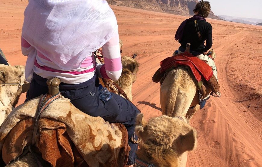 One day Camel Tour